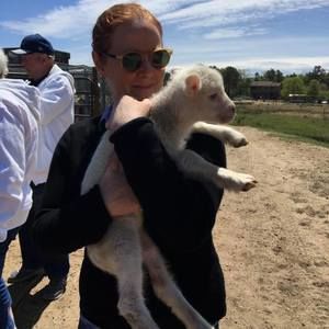 Meet your Posher, Sally